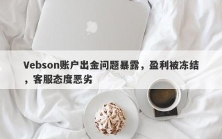 Vebson账户出金问题暴露，盈利被冻结，客服态度恶劣