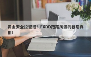 资金安全拉警报！FXDD跑路风波的幕后真相！