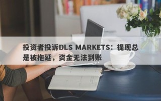 投资者投诉DLS MARKETS：提现总是被拖延，资金无法到账