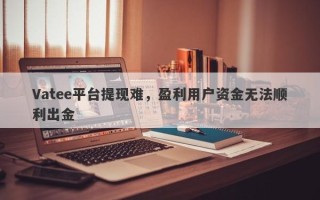 Vatee平台提现难，盈利用户资金无法顺利出金