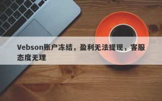 Vebson账户冻结，盈利无法提现，客服态度无理