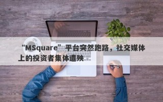 “MSquare”平台突然跑路，社交媒体上的投资者集体遭殃