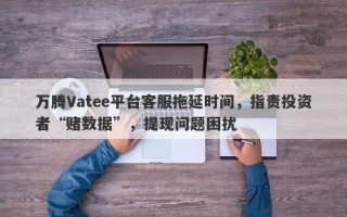 万腾Vatee平台客服拖延时间，指责投资者“赌数据”，提现问题困扰