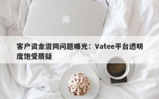 客户资金混同问题曝光：Vatee平台透明度饱受质疑