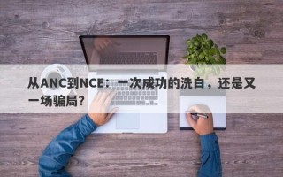 从ANC到NCE：一次成功的洗白，还是又一场骗局？