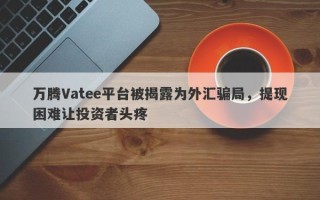 万腾Vatee平台被揭露为外汇骗局，提现困难让投资者头疼