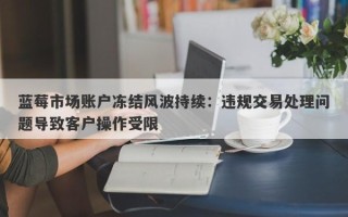 蓝莓市场账户冻结风波持续：违规交易处理问题导致客户操作受限