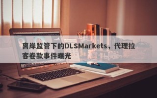 离岸监管下的DLSMarkets，代理拉客卷款事件曝光