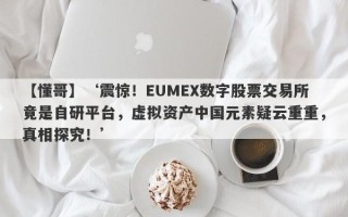 【懂哥】‘震惊！EUMEX数字股票交易所竟是自研平台，虚拟资产中国元素疑云重重，真相探究！’