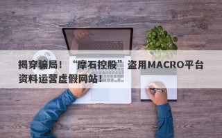 揭穿骗局！“摩石控股”盗用MACRO平台资料运营虚假网站！