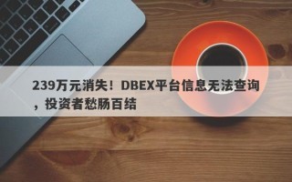 239万元消失！DBEX平台信息无法查询，投资者愁肠百结