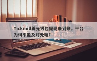 Tickmill美元钱包提现未到账，平台为何不能及时处理？