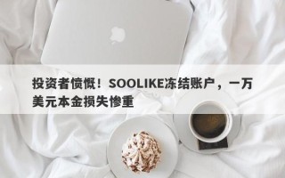 投资者愤慨！SOOLIKE冻结账户，一万美元本金损失惨重