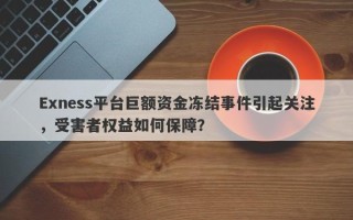 Exness平台巨额资金冻结事件引起关注，受害者权益如何保障？