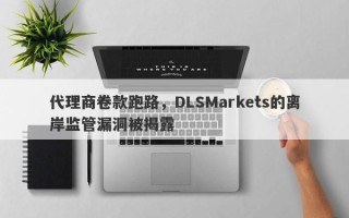 代理商卷款跑路，DLSMarkets的离岸监管漏洞被揭露