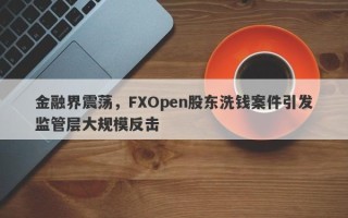 金融界震荡，FXOpen股东洗钱案件引发监管层大规模反击