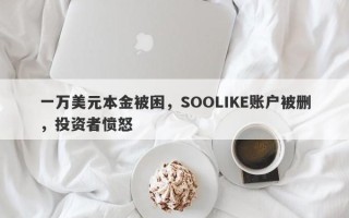 一万美元本金被困，SOOLIKE账户被删，投资者愤怒