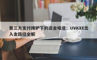 第三方支付掩护下的资金暗道：UVKXE出入金路径全解