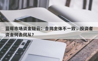 蓝莓市场资金疑云：合同主体不一致，投资者资金何去何从？