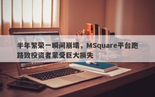 半年繁荣一瞬间崩塌，MSquare平台跑路致投资者蒙受巨大损失