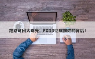 跑路谜团大曝光：FXDD彻底摆烂的背后！