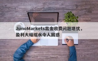 JunoMarkets出金收费问题堪忧，盈利大幅缩水令人困惑