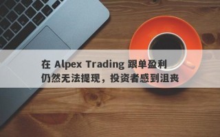 在 Alpex Trading 跟单盈利仍然无法提现，投资者感到沮丧