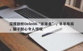 深度剖析Deleno“杀猪盘”，半年布局，骗子耐心令人惊叹