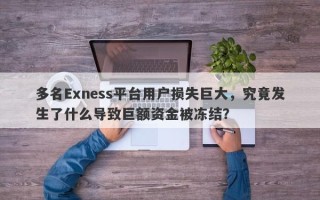 多名Exness平台用户损失巨大，究竟发生了什么导致巨额资金被冻结？