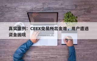 真实案例：CEEX交易所出金难，用户遭遇资金困境