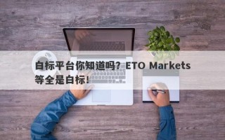 白标平台你知道吗？ETO Markets等全是白标！