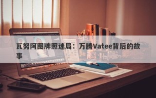 瓦努阿图牌照迷局：万腾Vatee背后的故事