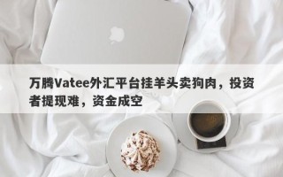 万腾Vatee外汇平台挂羊头卖狗肉，投资者提现难，资金成空