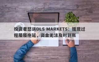 投资者怒诉DLS MARKETS：提现过程屡屡拖延，资金无法及时到账