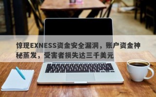 惊现EXNESS资金安全漏洞，账户资金神秘蒸发，受害者损失达三千美元