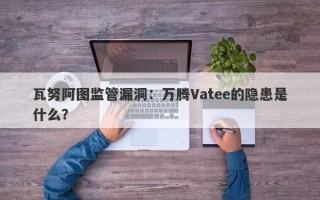 瓦努阿图监管漏洞：万腾Vatee的隐患是什么？