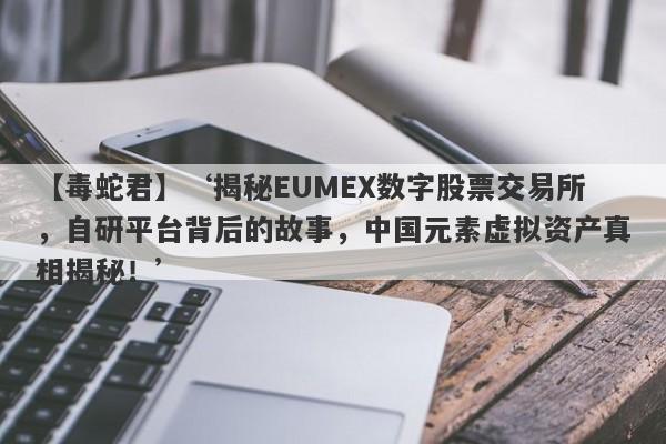 【毒蛇君】‘揭秘EUMEX数字股票交易所，自研平台背后的故事，中国元素虚拟资产真相揭秘！’-第1张图片-要懂汇