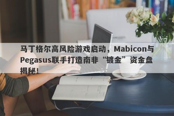 马丁格尔高风险游戏启动，Mabicon与Pegasus联手打造南非“镀金”资金盘揭秘！-第1张图片-要懂汇