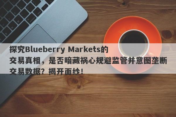 探究Blueberry Markets的交易真相，是否暗藏祸心规避监管并意图垄断交易数据？揭开面纱！-第1张图片-要懂汇