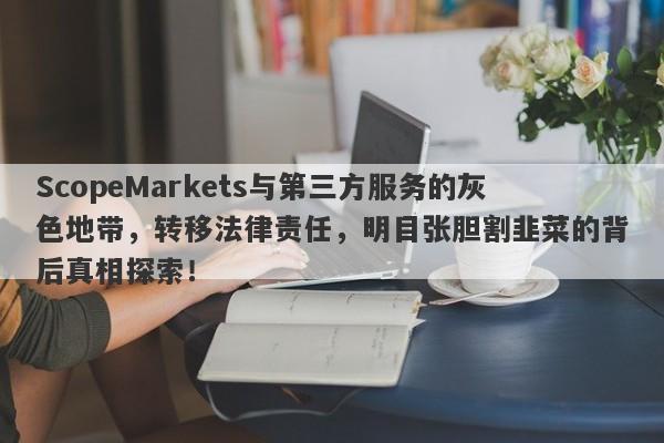 ScopeMarkets与第三方服务的灰色地带，转移法律责任，明目张胆割韭菜的背后真相探索！-第1张图片-要懂汇