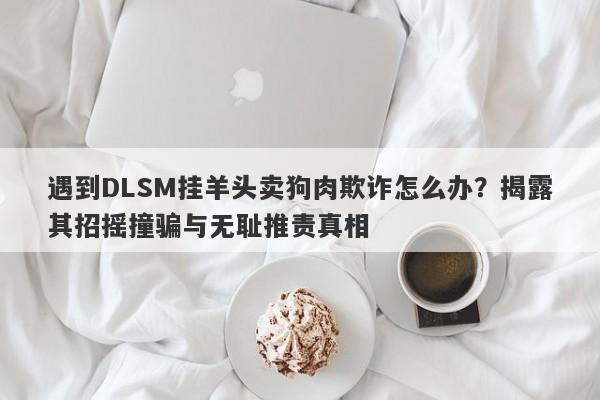 遇到DLSM挂羊头卖狗肉欺诈怎么办？揭露其招摇撞骗与无耻推责真相-第1张图片-要懂汇