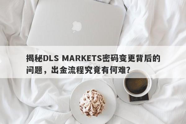 揭秘DLS MARKETS密码变更背后的问题，出金流程究竟有何难？-第1张图片-要懂汇