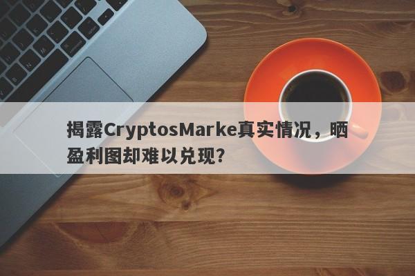 揭露CryptosMarke真实情况，晒盈利图却难以兑现？-第1张图片-要懂汇