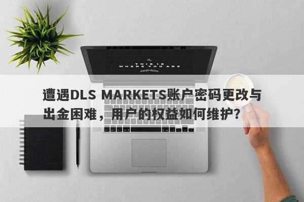 遭遇DLS MARKETS账户密码更改与出金困难，用户的权益如何维护？-第1张图片-要懂汇