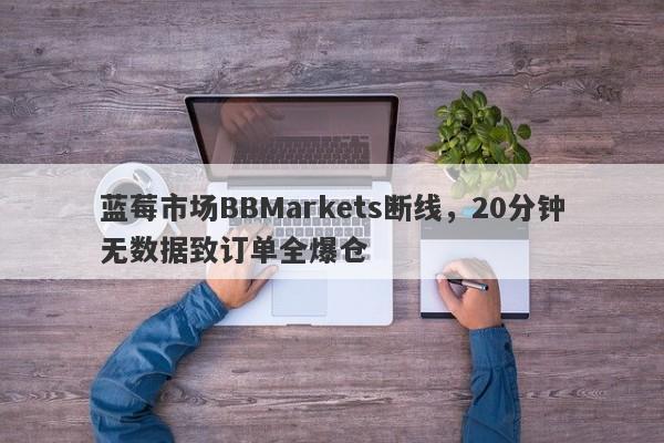 蓝莓市场BBMarkets断线，20分钟无数据致订单全爆仓-第1张图片-要懂汇