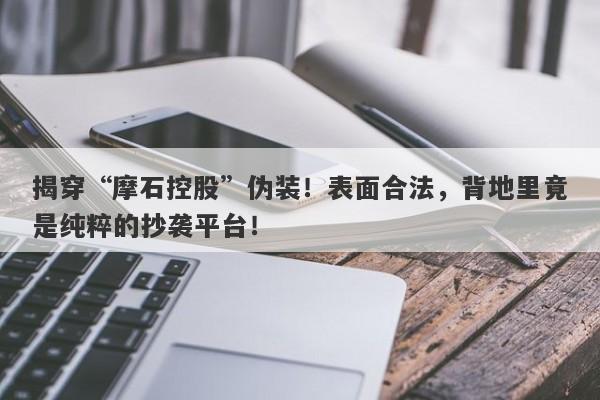 揭穿“摩石控股”伪装！表面合法，背地里竟是纯粹的抄袭平台！-第1张图片-要懂汇