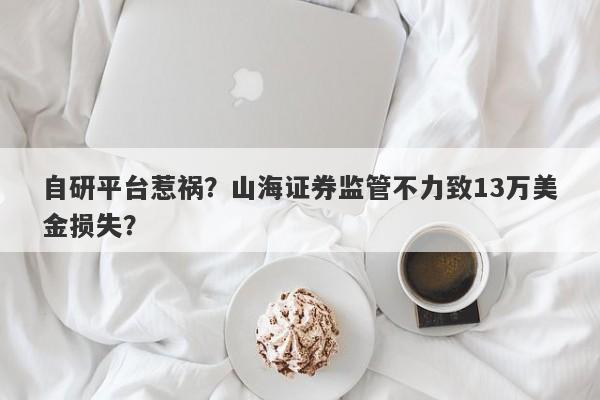 自研平台惹祸？山海证券监管不力致13万美金损失？-第1张图片-要懂汇