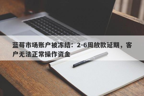 蓝莓市场账户被冻结：2-6周放款延期，客户无法正常操作资金-第1张图片-要懂汇