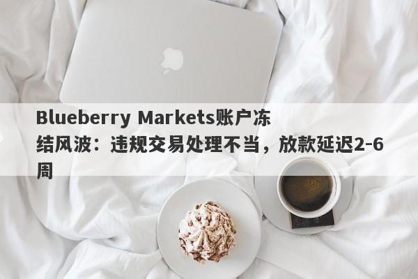 Blueberry Markets账户冻结风波：违规交易处理不当，放款延迟2-6周-第1张图片-要懂汇