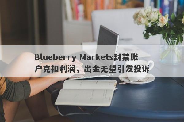 Blueberry Markets封禁账户克扣利润，出金无望引发投诉-第1张图片-要懂汇